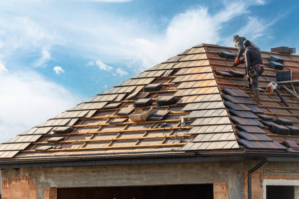 Best Roof Coating and Sealing  in Pine Ridge, SC