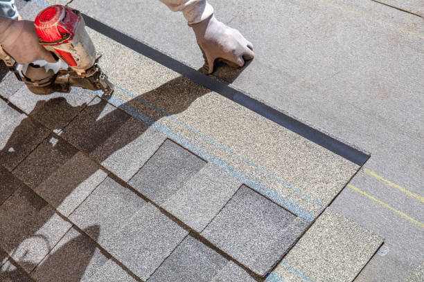 Best Commercial Roofing Services  in Pine Ridge, SC